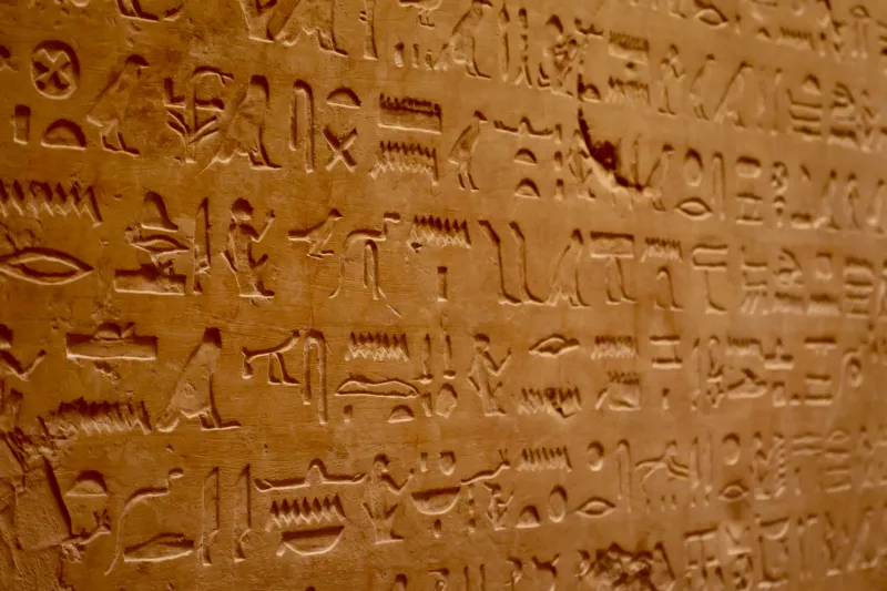 Words on the Wall: The Hidden Power of Museum Labels in Israel's Cultural Institutions